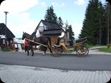 DSCF4469