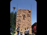 DSCF4471