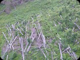 DSCF4535