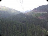 DSCF4542