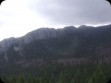 DSCF4551