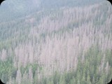 DSCF4552