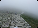DSCF4566