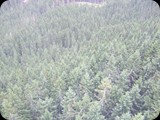 DSCF4589