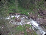 DSCF4597