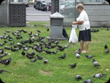 DSCF4866