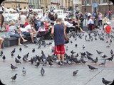 DSCF4643