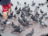 DSCF4644