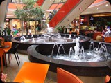 DSCF4884