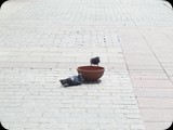 DSCF4904