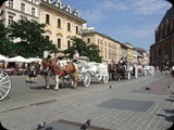 DSCF4908