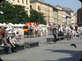 DSCF4915