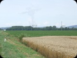 DSCF4378