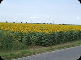 DSCF4380