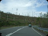 DSCF4406