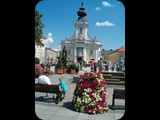 HPIM3646