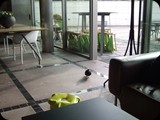 DSCF4726
