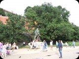DSCF4750