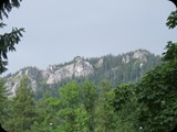 DSCF4505