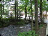DSCF4508
