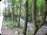 DSCF4509