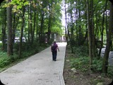 DSCF4510