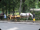 DSCF4513