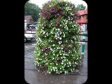 DSCF4601